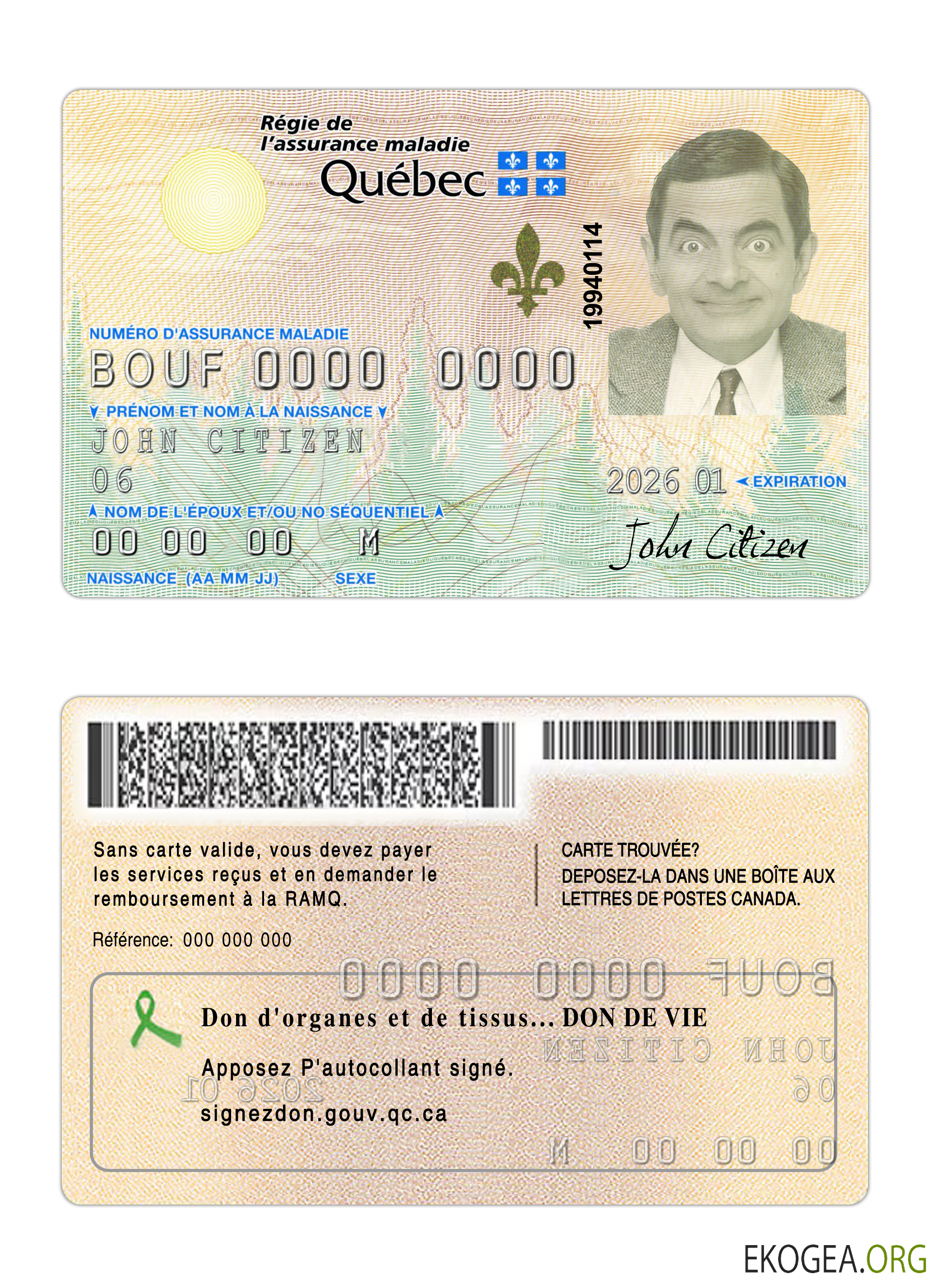 Carte d'assurance maladie Canada Québec 1 template